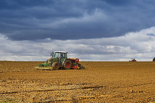 FieldBee in the Fields: Tractor Navigation on an Organic Farm in South Africa